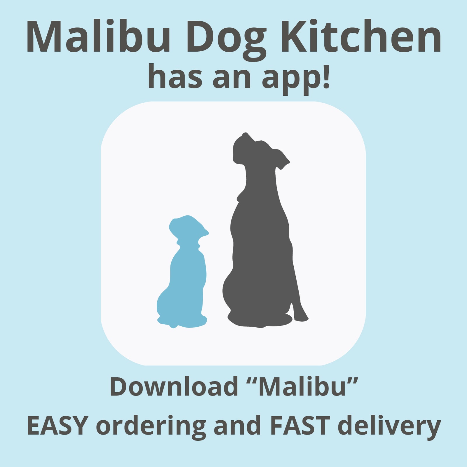 Photo of Malibu Dog Kitchen in New York City, New York, United States - 6 Picture of Point of interest, Establishment, Store, Pet store