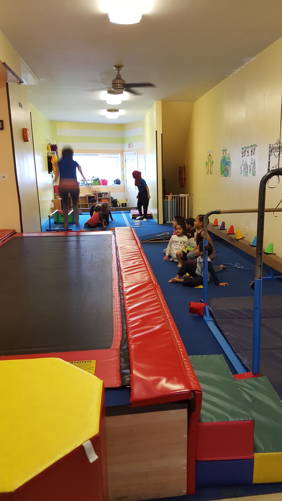 Photo of Prospect Gymnastics in Brooklyn City, New York, United States - 2 Picture of Point of interest, Establishment, Health, Gym