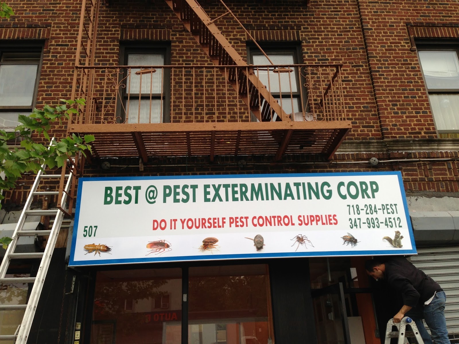 Photo of Best@Pest Exterminating Corp in Brooklyn City, New York, United States - 1 Picture of Point of interest, Establishment, Store, Home goods store, General contractor