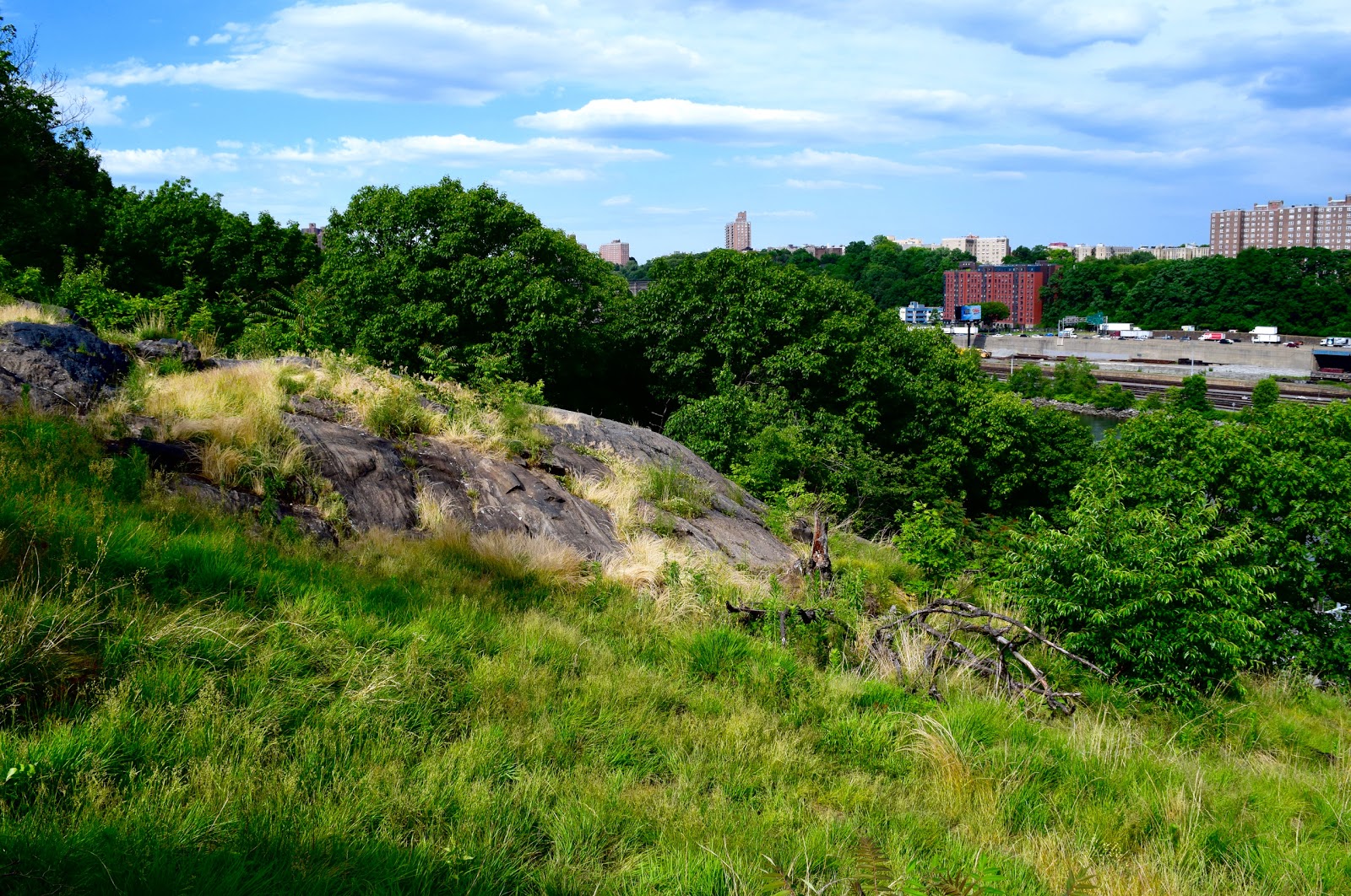 Photo of Highbridge Park in New York City, New York, United States - 5 Picture of Point of interest, Establishment, Park