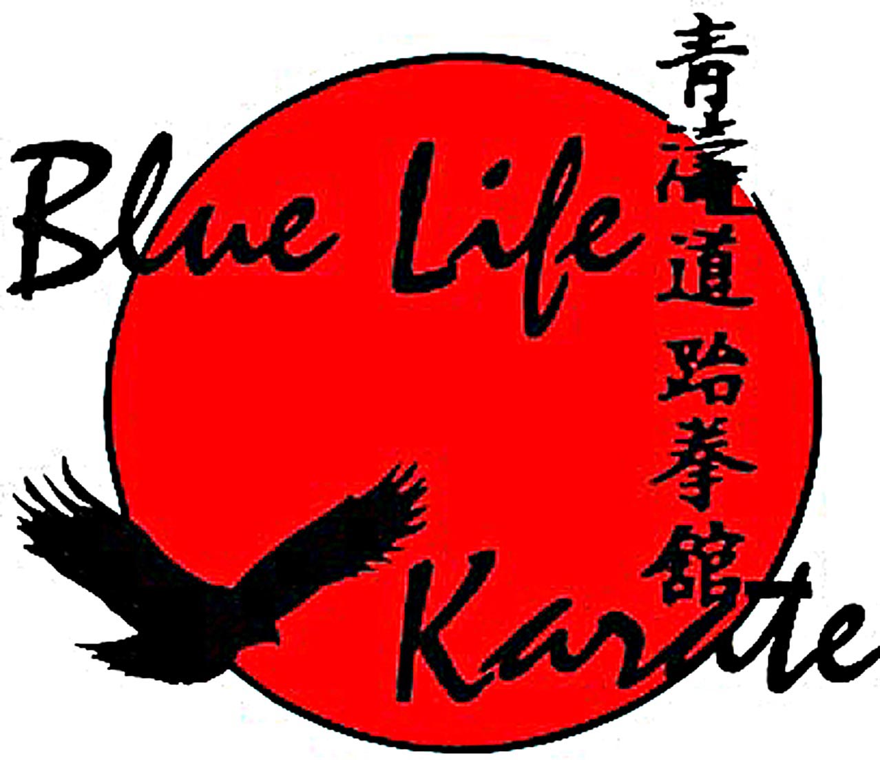 Photo of Blue Life Karate & Kickboxing Centers in Maplewood City, New Jersey, United States - 6 Picture of Point of interest, Establishment, Health, Gym