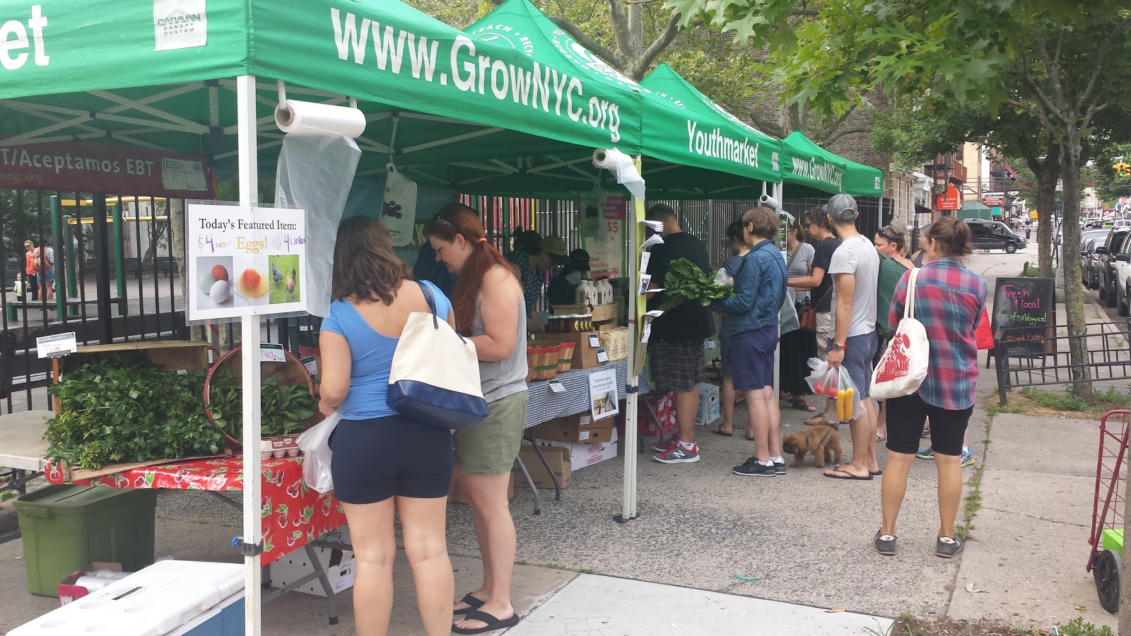 Photo of Ditmars Park Youthmarket in New York City, New York, United States - 1 Picture of Food, Point of interest, Establishment