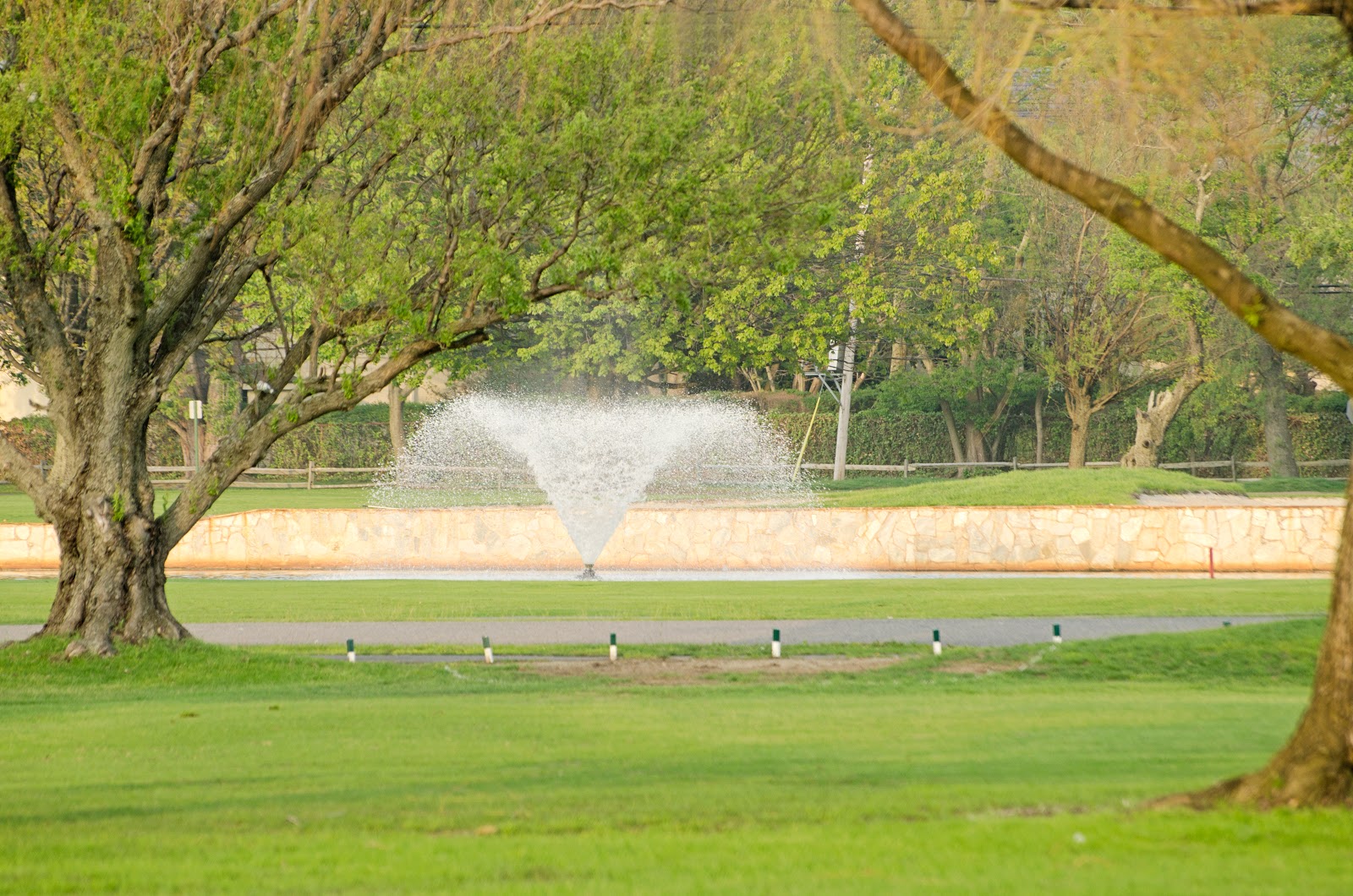 Photo of Lawrence Yacht and Country Club in Lawrence City, New York, United States - 6 Picture of Point of interest, Establishment