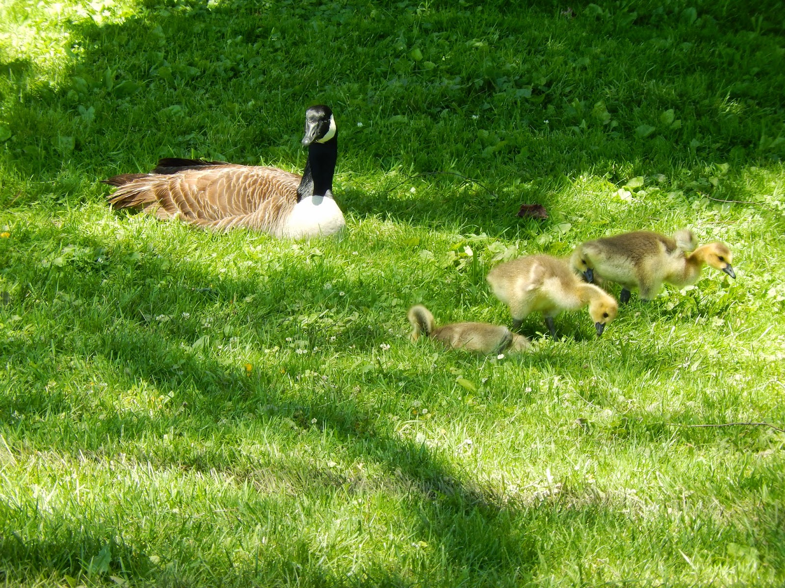 Photo of Verona Park in Verona City, New Jersey, United States - 5 Picture of Point of interest, Establishment, Park