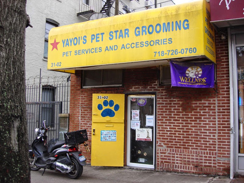 Photo of Pet Star Grooming in Queens City, New York, United States - 2 Picture of Point of interest, Establishment