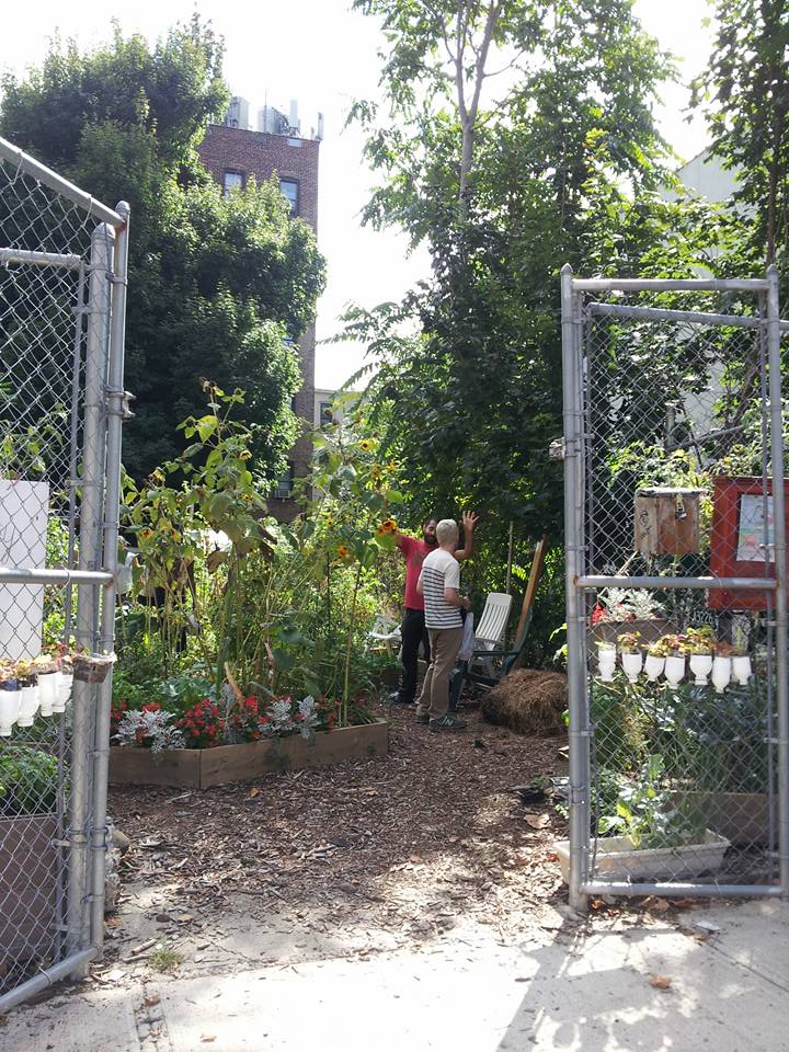 Photo of 100 Quincy Community Garden in New York City, New York, United States - 7 Picture of Point of interest, Establishment, Park