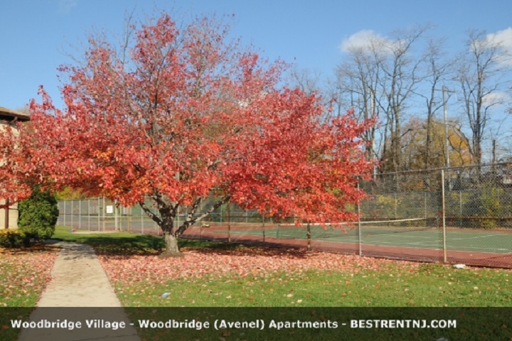 Photo of Woodbridge Village in Avenel City, New Jersey, United States - 5 Picture of Point of interest, Establishment, Real estate agency