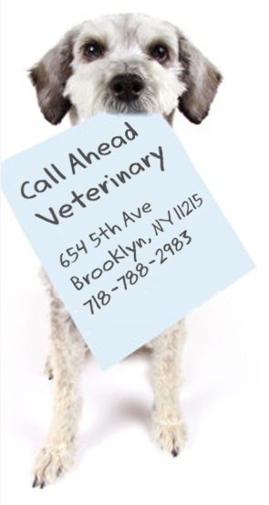 Photo of Call Ahead Vet in Brooklyn City, New York, United States - 2 Picture of Point of interest, Establishment, Health, Veterinary care