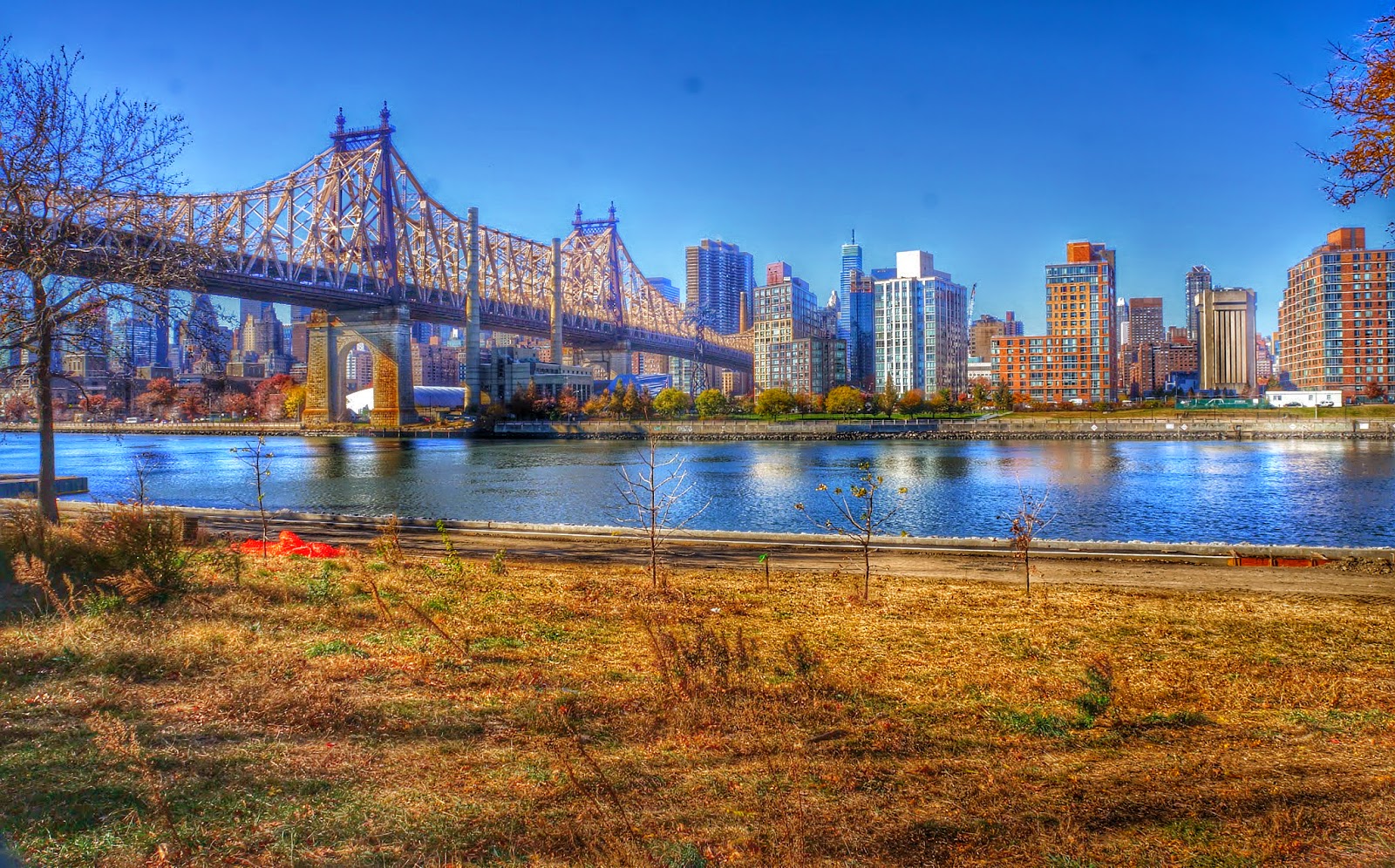 Photo of Queensbridge Park in Long Island City, New York, United States - 1 Picture of Point of interest, Establishment, Park