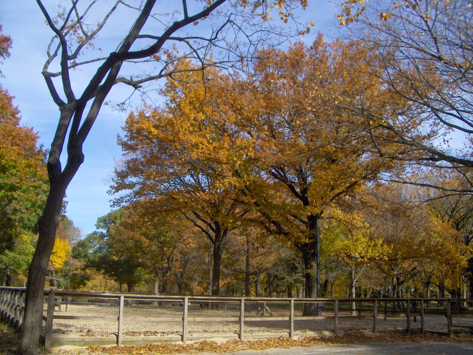 Photo of Rumsey Playfield in New York City, New York, United States - 5 Picture of Point of interest, Establishment