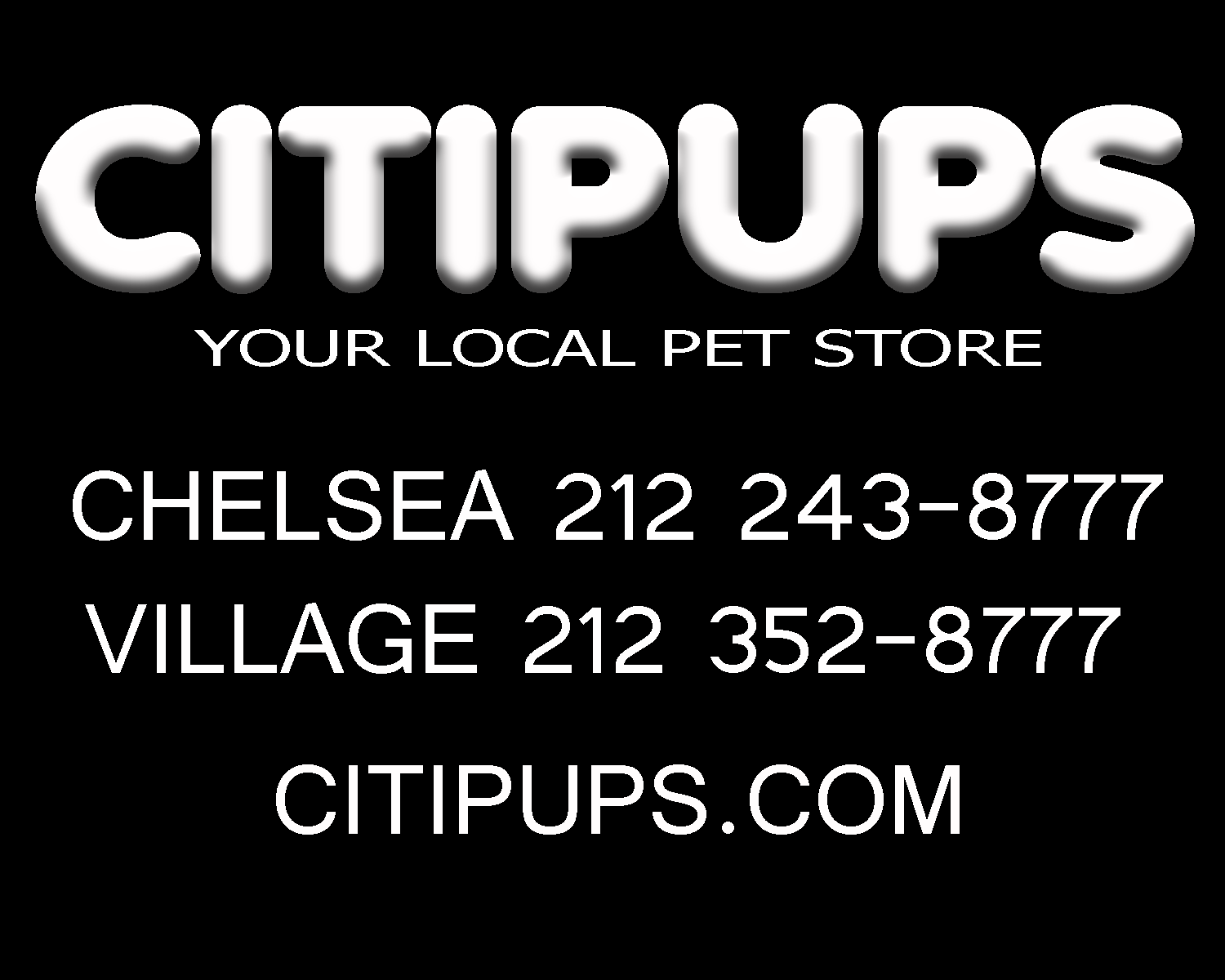 Photo of Citipups Village in New York City, New York, United States - 8 Picture of Point of interest, Establishment, Store, Pet store