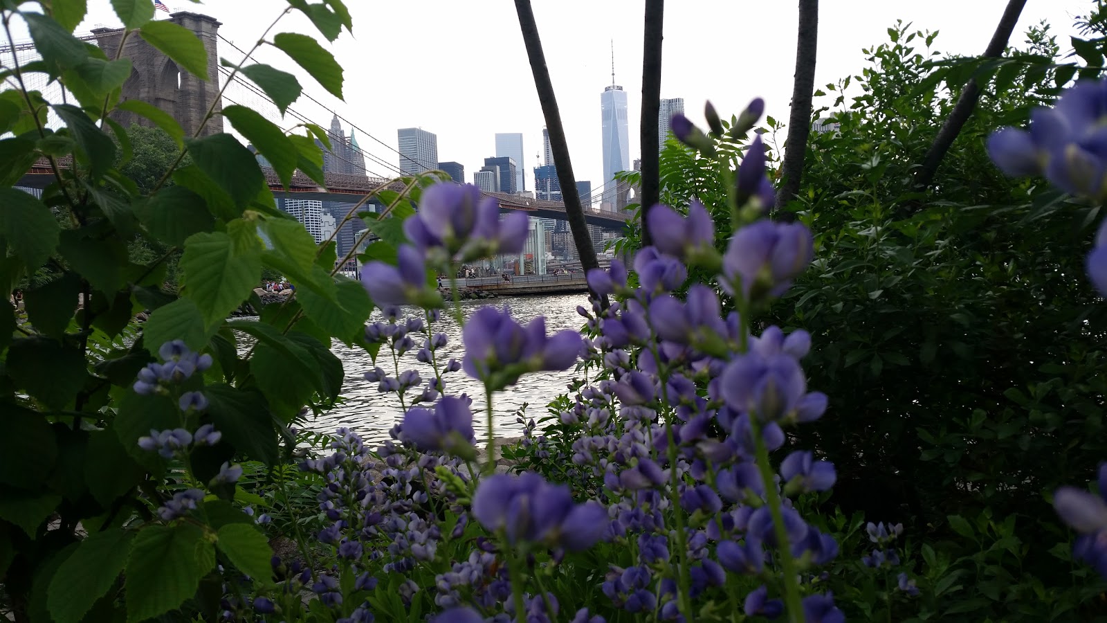 Photo of Manhattan Bridge Archway Plaza in Brooklyn City, New York, United States - 8 Picture of Point of interest, Establishment