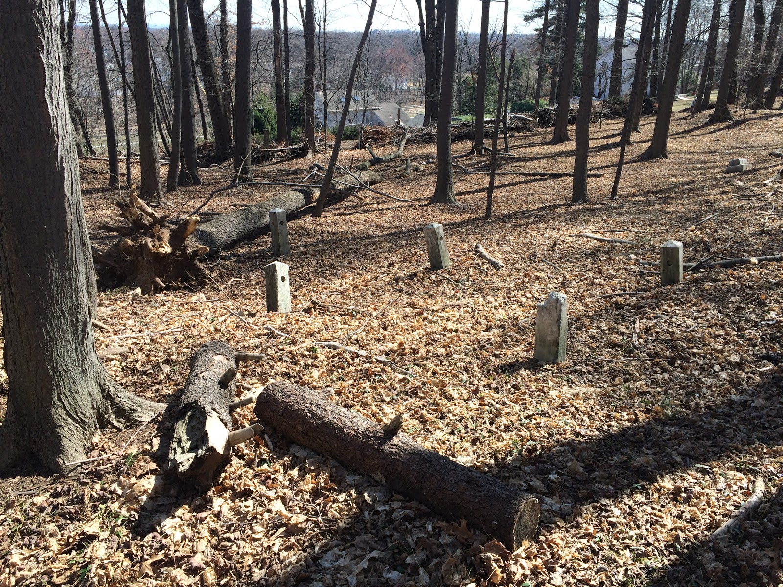 Photo of Vermulen Cemetery (Holland Cemetery) in Hawthorne City, New Jersey, United States - 1 Picture of Point of interest, Establishment, Cemetery