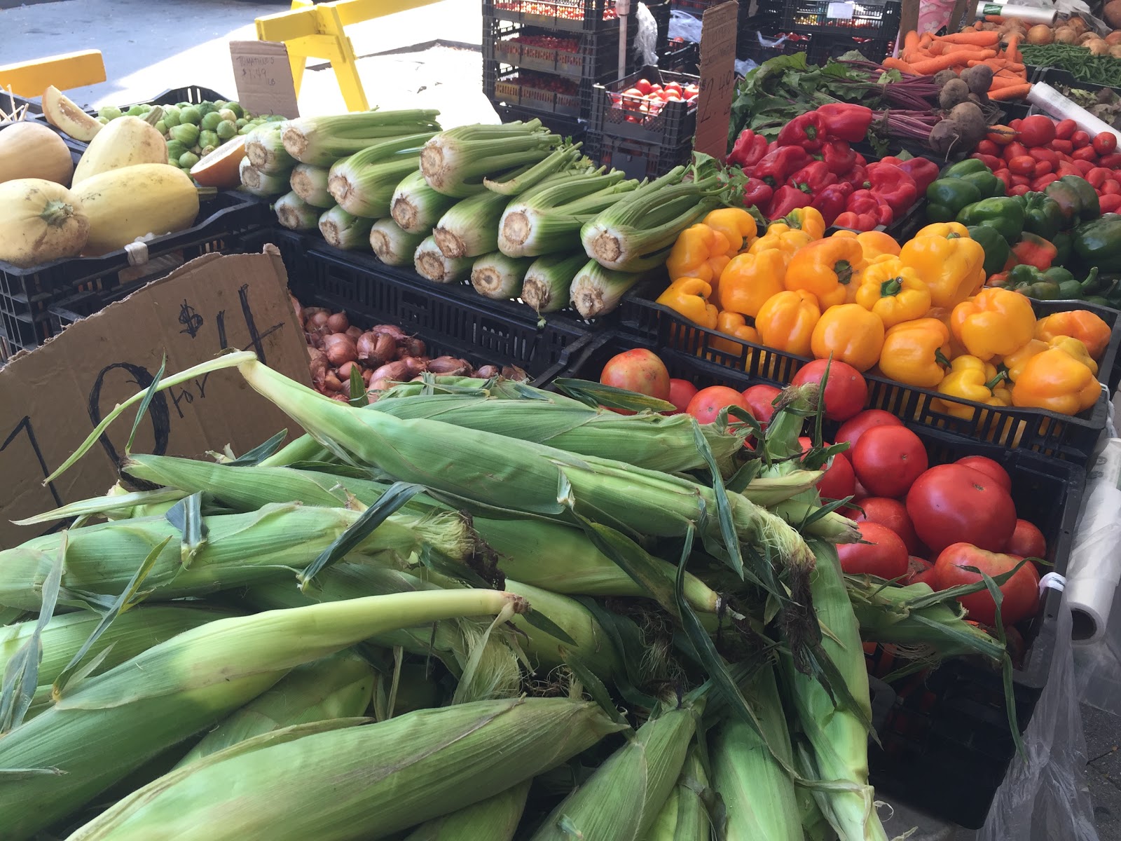 Photo of Jamaica Market in Queens City, New York, United States - 7 Picture of Food, Point of interest, Establishment