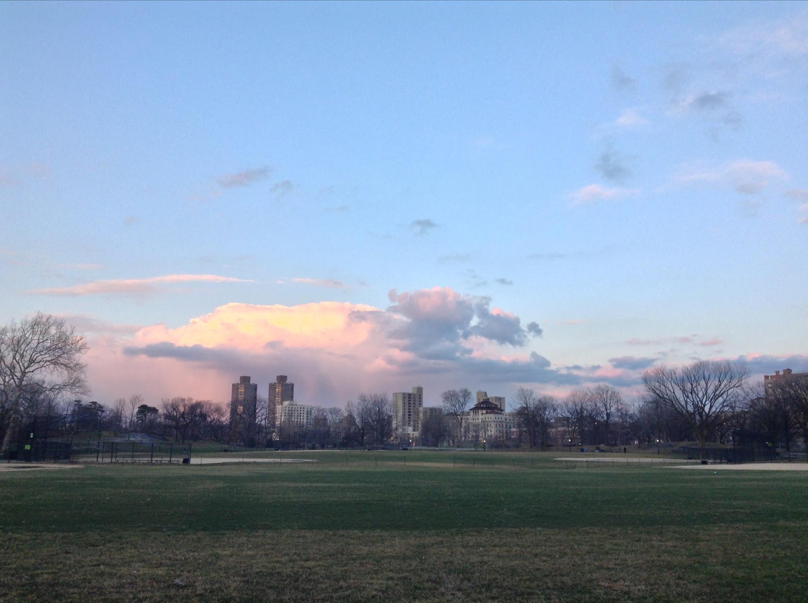 Photo of North Meadow in New York City, New York, United States - 8 Picture of Point of interest, Establishment, Park