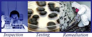 Photo of Advanced Mold Testing in Staten Island City, New York, United States - 5 Picture of Point of interest, Establishment, General contractor