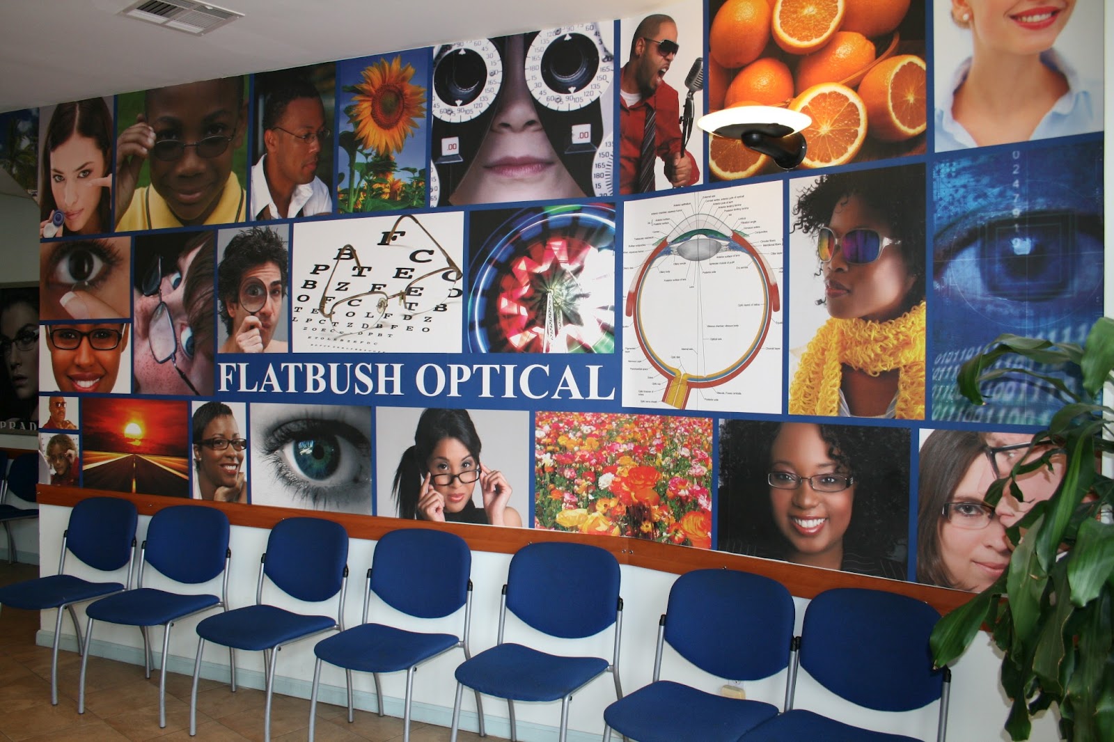 Photo of Flatbush Optical in Kings County City, New York, United States - 1 Picture of Point of interest, Establishment, Health
