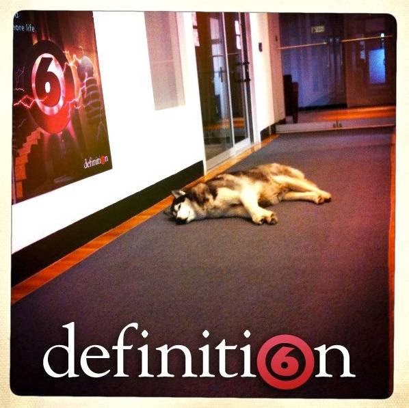 Photo of Definition 6 in New York City, New York, United States - 3 Picture of Point of interest, Establishment, Natural feature