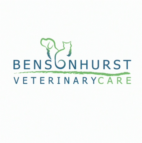 Photo of Bensonhurst Veterinary Care in Brooklyn City, New York, United States - 1 Picture of Point of interest, Establishment, Veterinary care