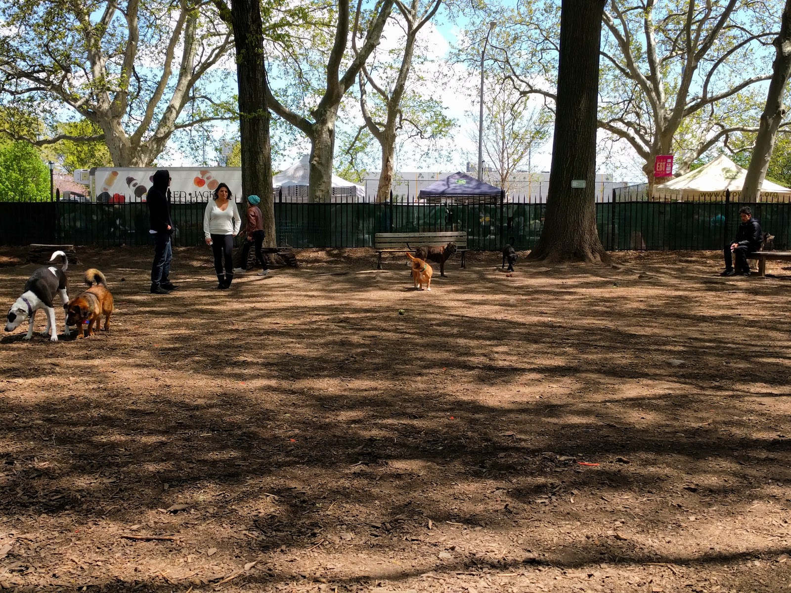 Photo of McCarren Park Track in New York City, New York, United States - 2 Picture of Point of interest, Establishment