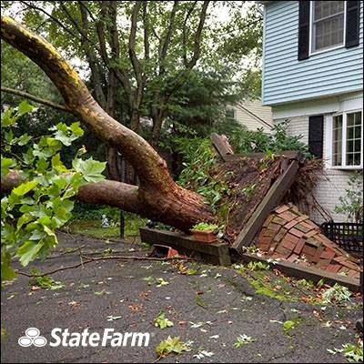 Photo of State Farm: Jason Bush in Wayne City, New Jersey, United States - 5 Picture of Point of interest, Establishment, Finance, Health, Insurance agency