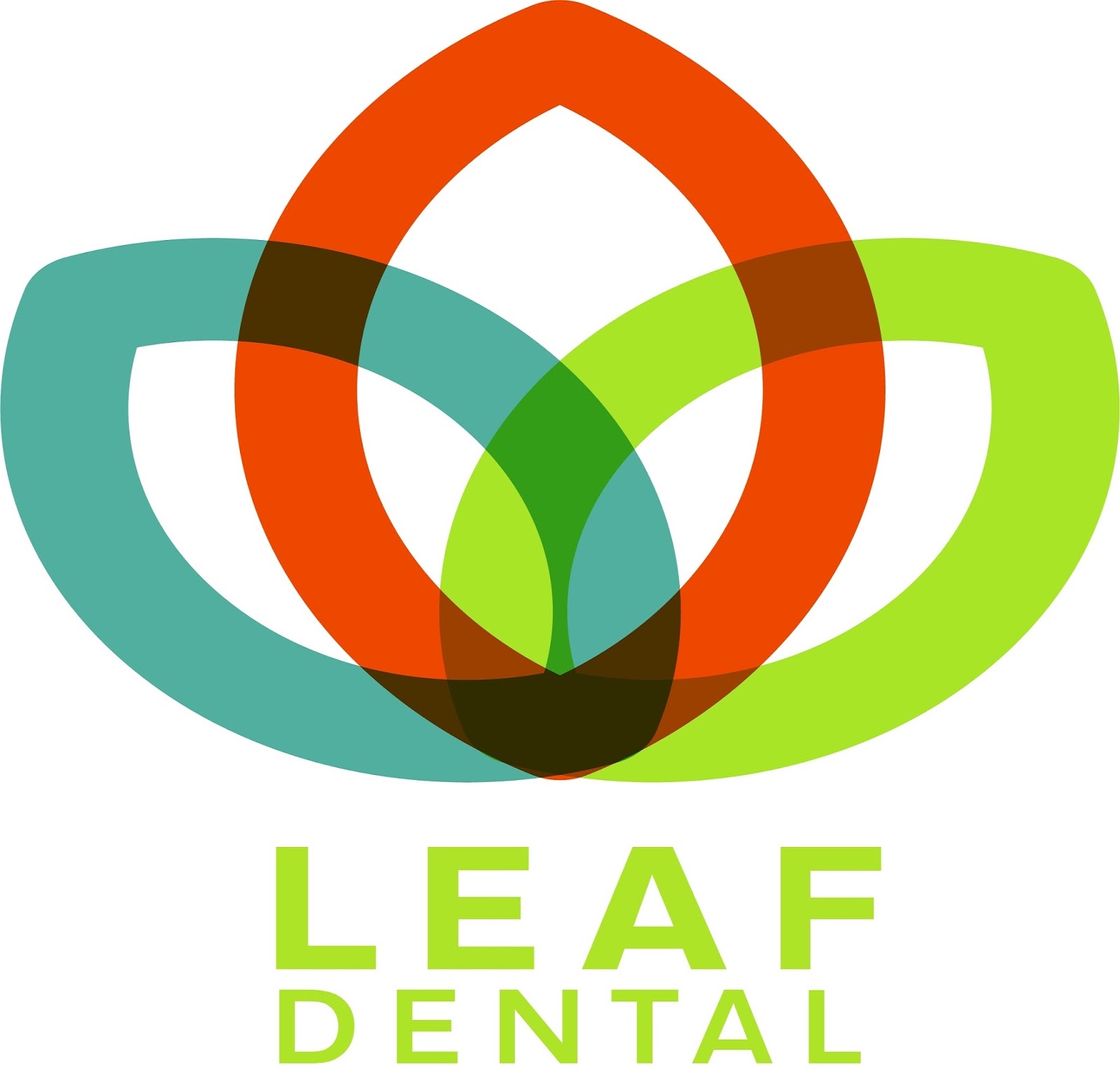 Photo of Leaf Dental in Kings County City, New York, United States - 5 Picture of Point of interest, Establishment, Health, Dentist