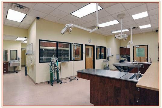 Photo of Bronx Veterinary Center in Bronx City, New York, United States - 2 Picture of Point of interest, Establishment, Health, Veterinary care