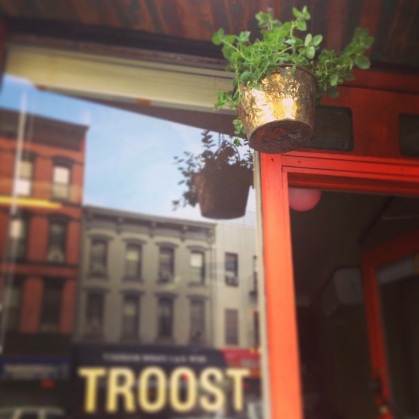 Photo of Troost in Brooklyn City, New York, United States - 3 Picture of Restaurant, Food, Point of interest, Establishment, Meal takeaway, Cafe, Bar