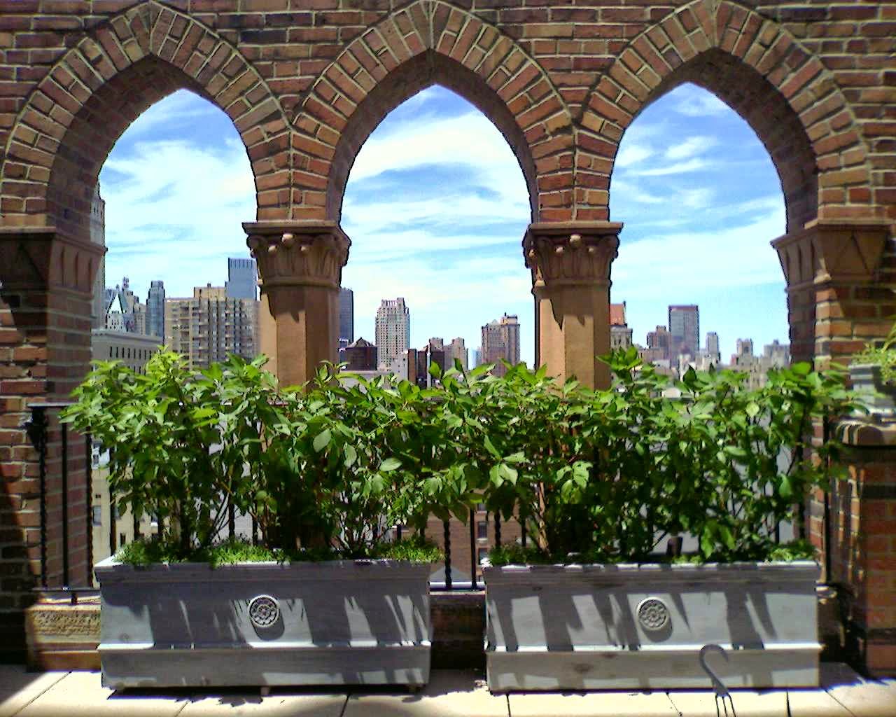 Photo of GRNRF Garden Design and Services in New York City, New York, United States - 2 Picture of Point of interest, Establishment, Store, General contractor