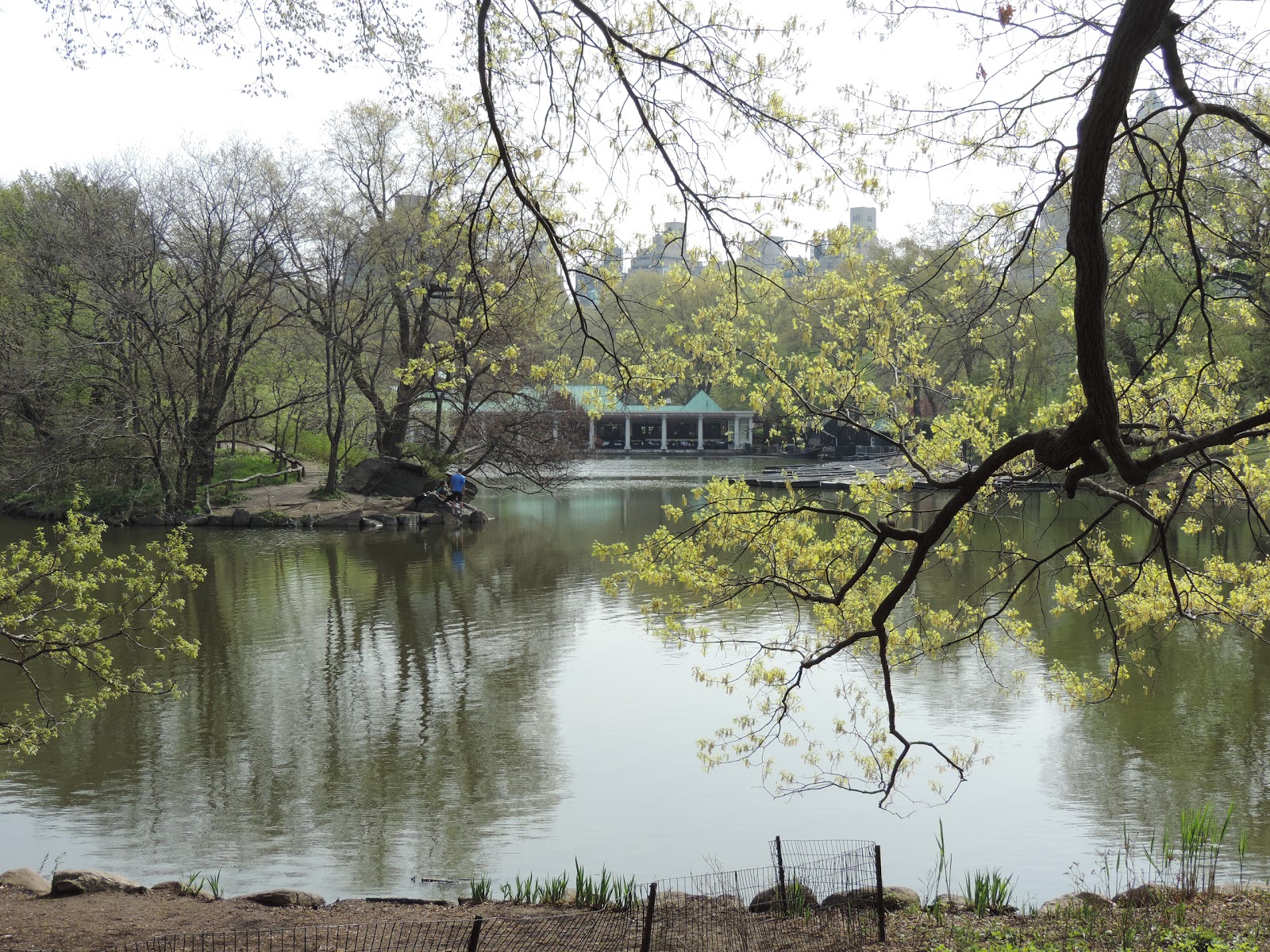 Photo of Turtle Lake in New York City, New York, United States - 4 Picture of Point of interest, Establishment, Park