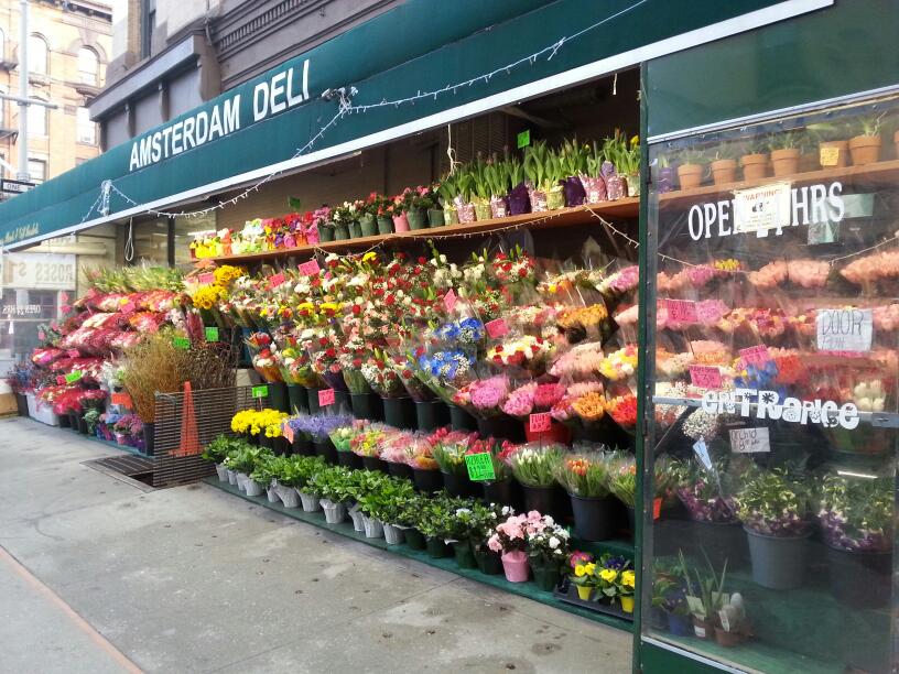 Photo of Amsterdam Deli in New York City, New York, United States - 1 Picture of Restaurant, Food, Point of interest, Establishment, Store, Meal takeaway