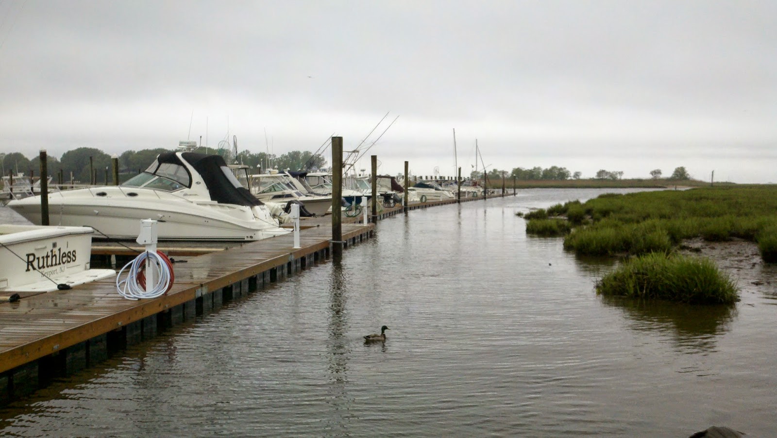 Photo of Brown's Point Marina in Keyport City, New Jersey, United States - 1 Picture of Point of interest, Establishment