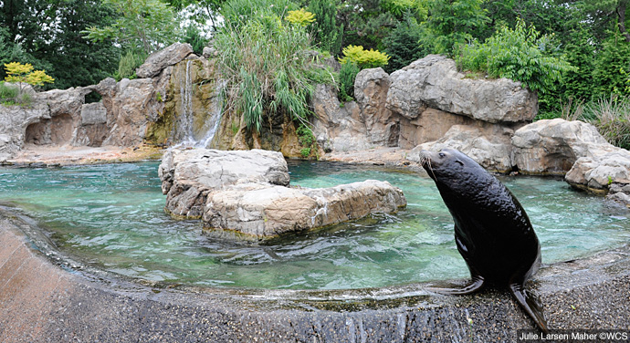 Photo of Queens Zoo in Corona City, New York, United States - 1 Picture of Point of interest, Establishment, Zoo