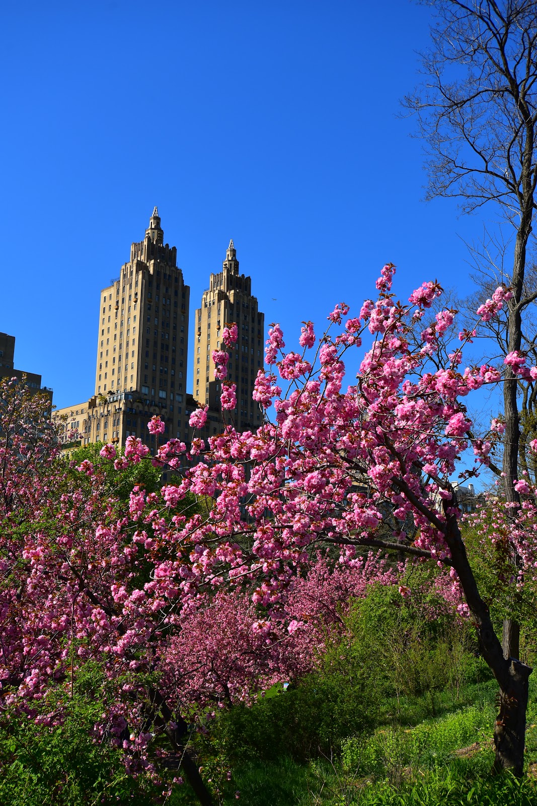 Photo of 300 Central Park W Apartments Corporation in New York City, New York, United States - 3 Picture of Point of interest, Establishment