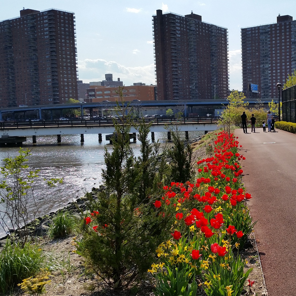 Photo of Mill Pond Park in Bronx City, New York, United States - 1 Picture of Point of interest, Establishment, Park