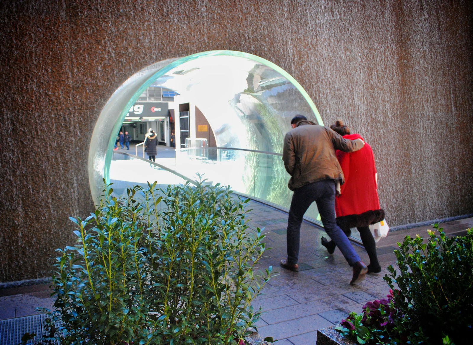 Photo of Mini Plexiglass Waterfall Tunnel in New York City, New York, United States - 5 Picture of Point of interest, Establishment