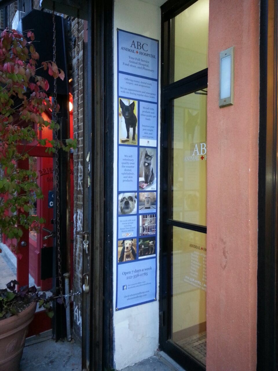 Photo of ABC Animal Hospital in New York City, New York, United States - 6 Picture of Point of interest, Establishment, Veterinary care