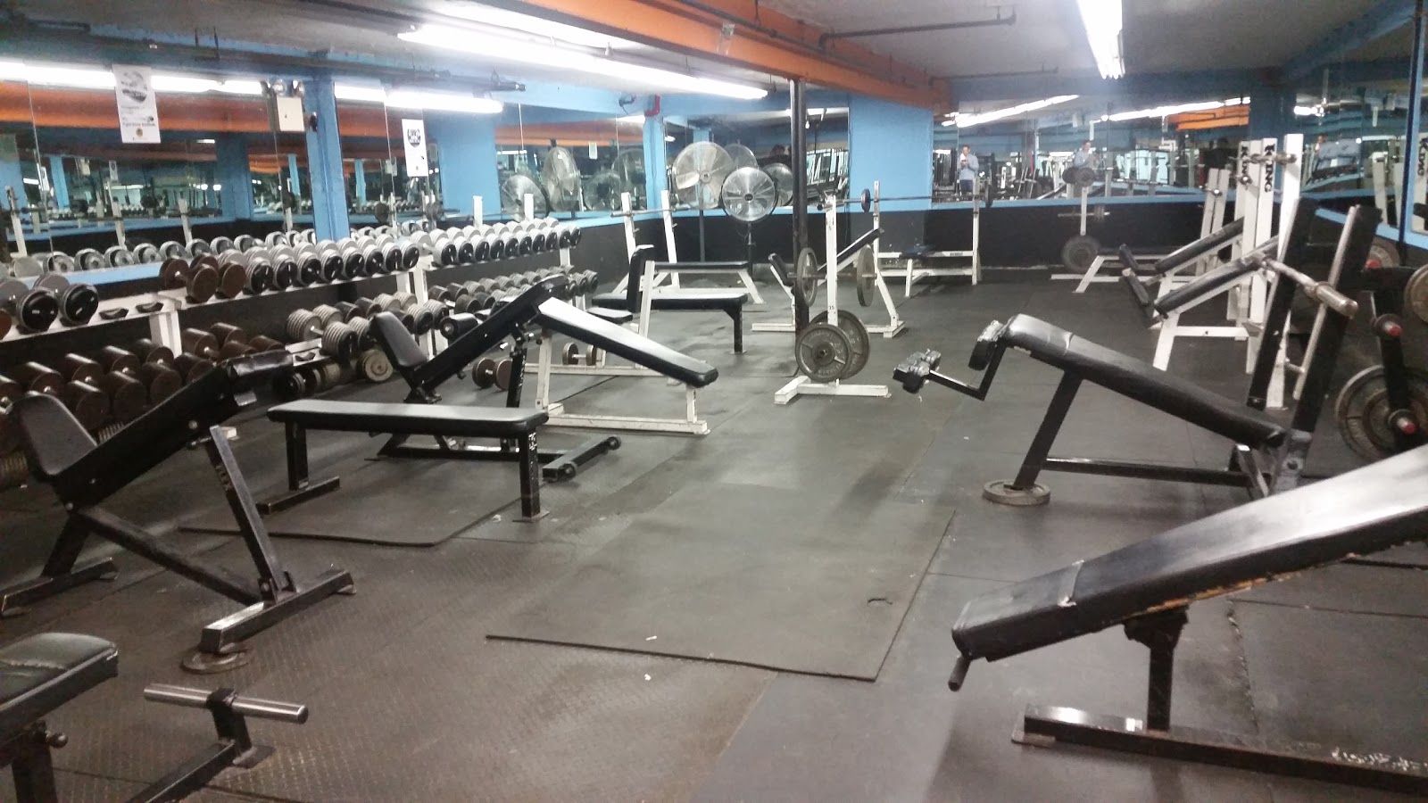 Photo of Powerhouse Gym Bayside in Flushing City, New York, United States - 3 Picture of Point of interest, Establishment, Health, Gym