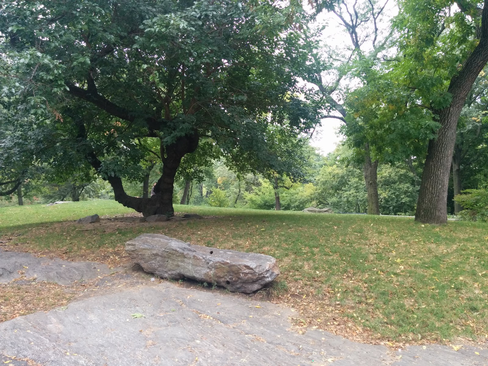Photo of Summit Rock in New York City, New York, United States - 2 Picture of Point of interest, Establishment, Park