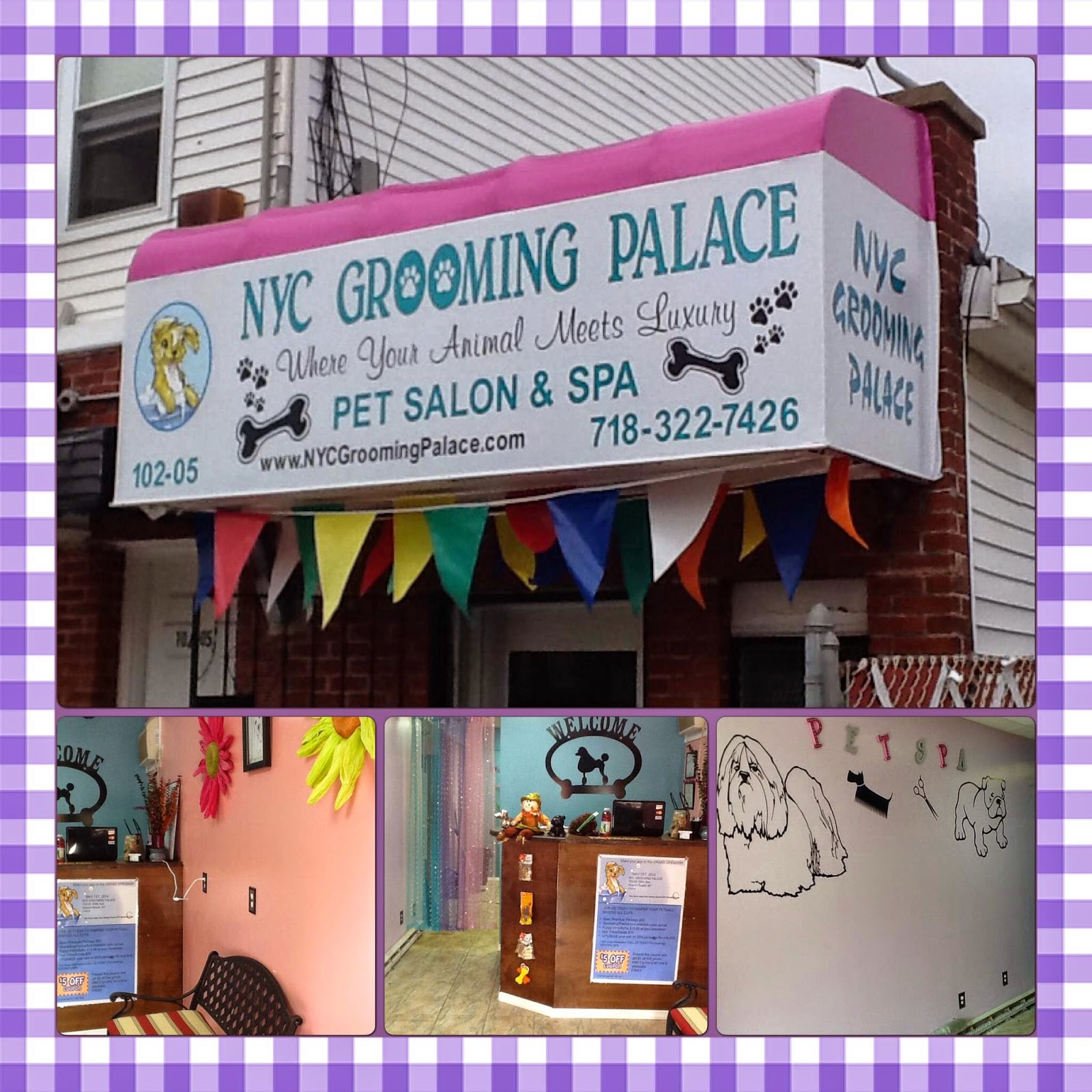 Photo of NYC Grooming Palace in Howard Beach City, New York, United States - 3 Picture of Point of interest, Establishment