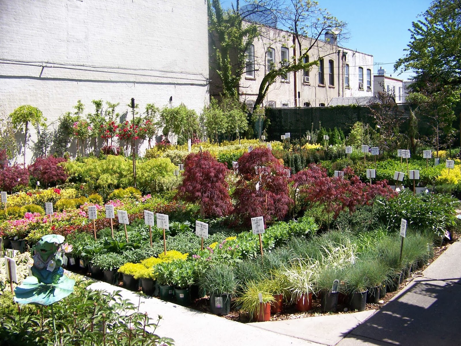 Photo of Kings County Nurseries inc. in Brooklyn City, New York, United States - 5 Picture of Food, Point of interest, Establishment