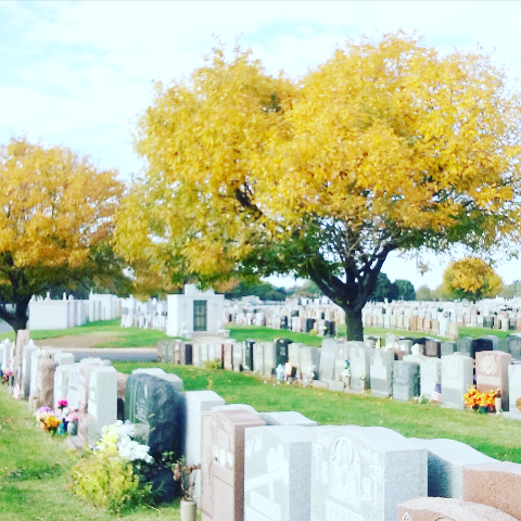 Photo of Saint Raymonds Cemetery in Bronx City, New York, United States - 2 Picture of Point of interest, Establishment, Cemetery