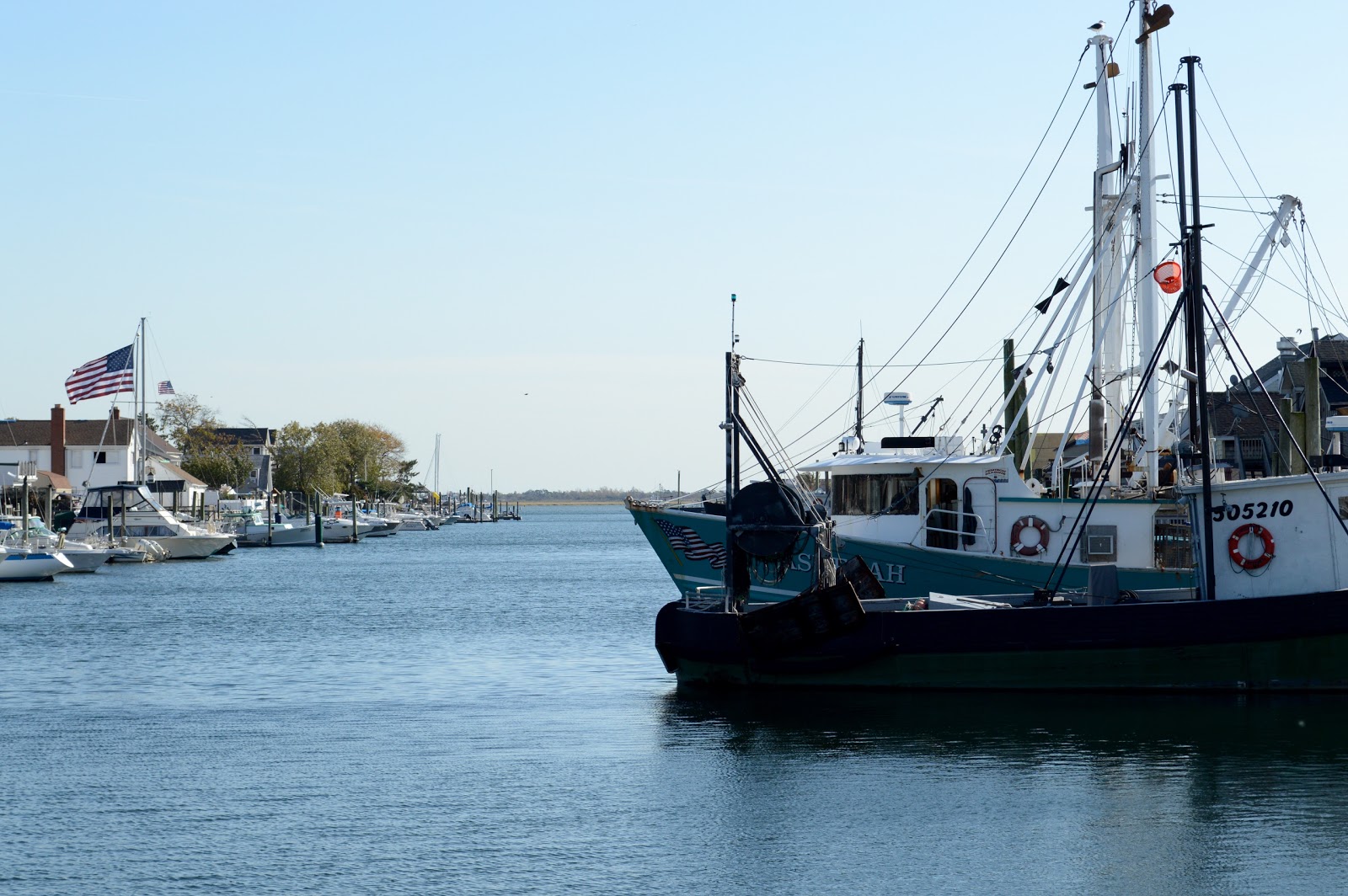 Photo of Nautical Mile in Freeport City, New York, United States - 1 Picture of Restaurant, Food, Point of interest, Establishment