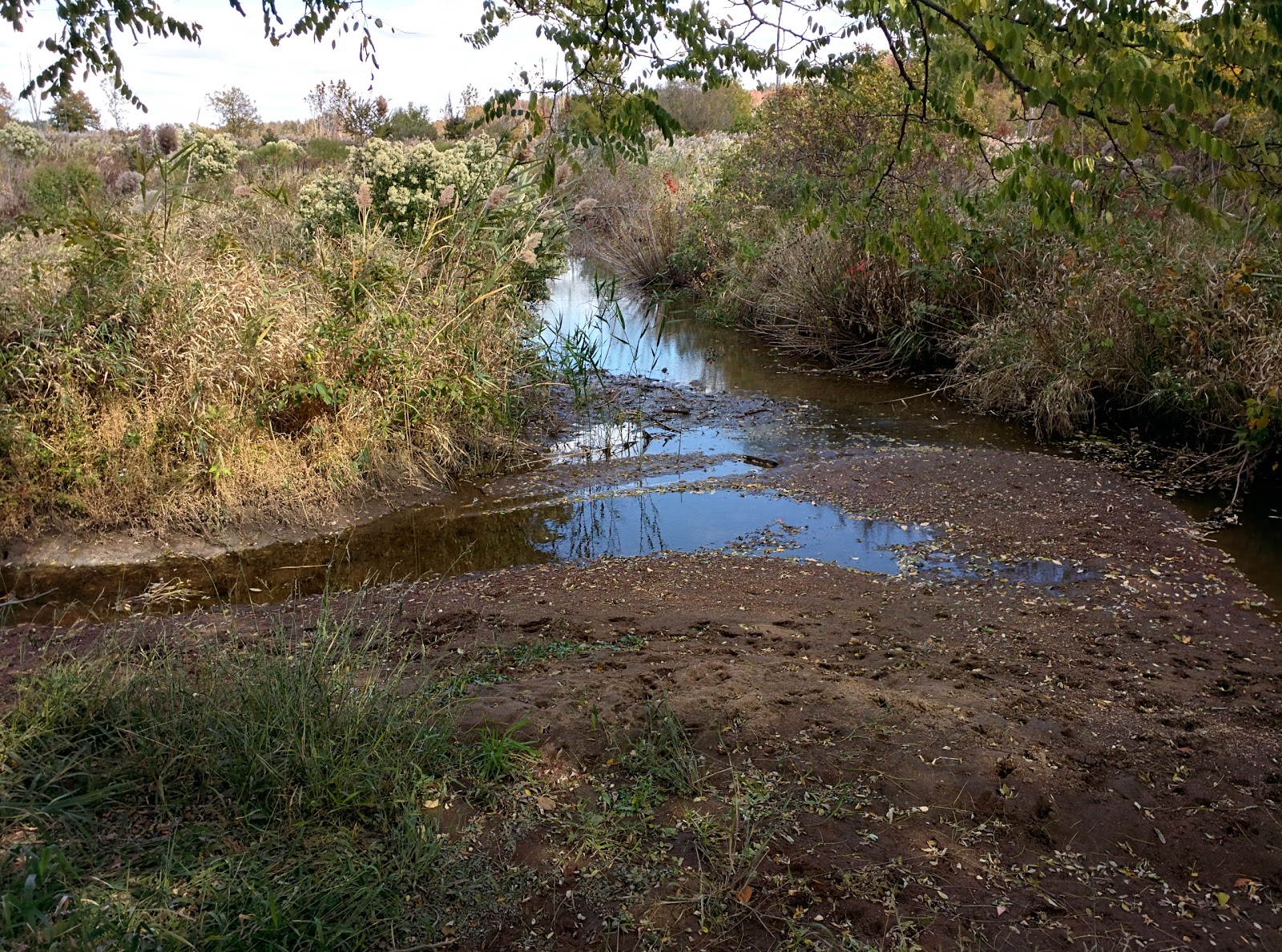 Photo of Ernest L. Oros Park in Avenel City, New Jersey, United States - 2 Picture of Point of interest, Establishment, Park