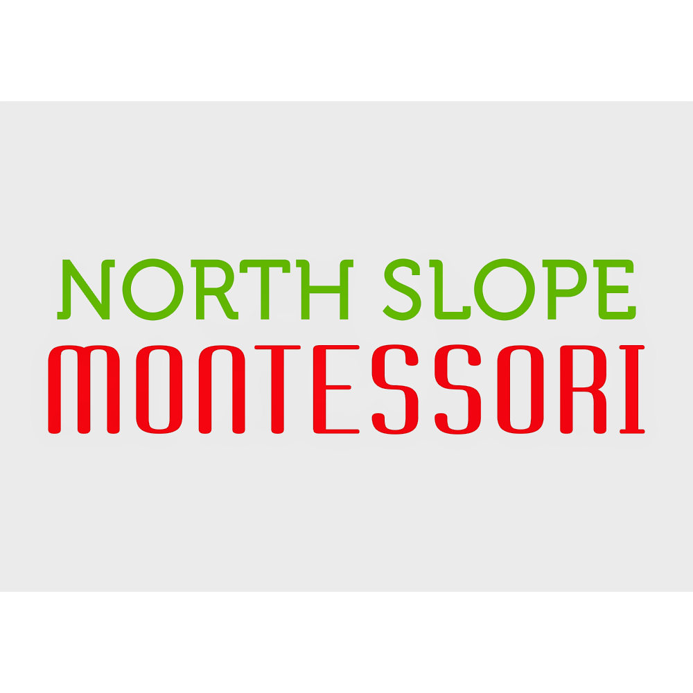 Photo of Park Slope Montessori in Kings County City, New York, United States - 10 Picture of Point of interest, Establishment, School