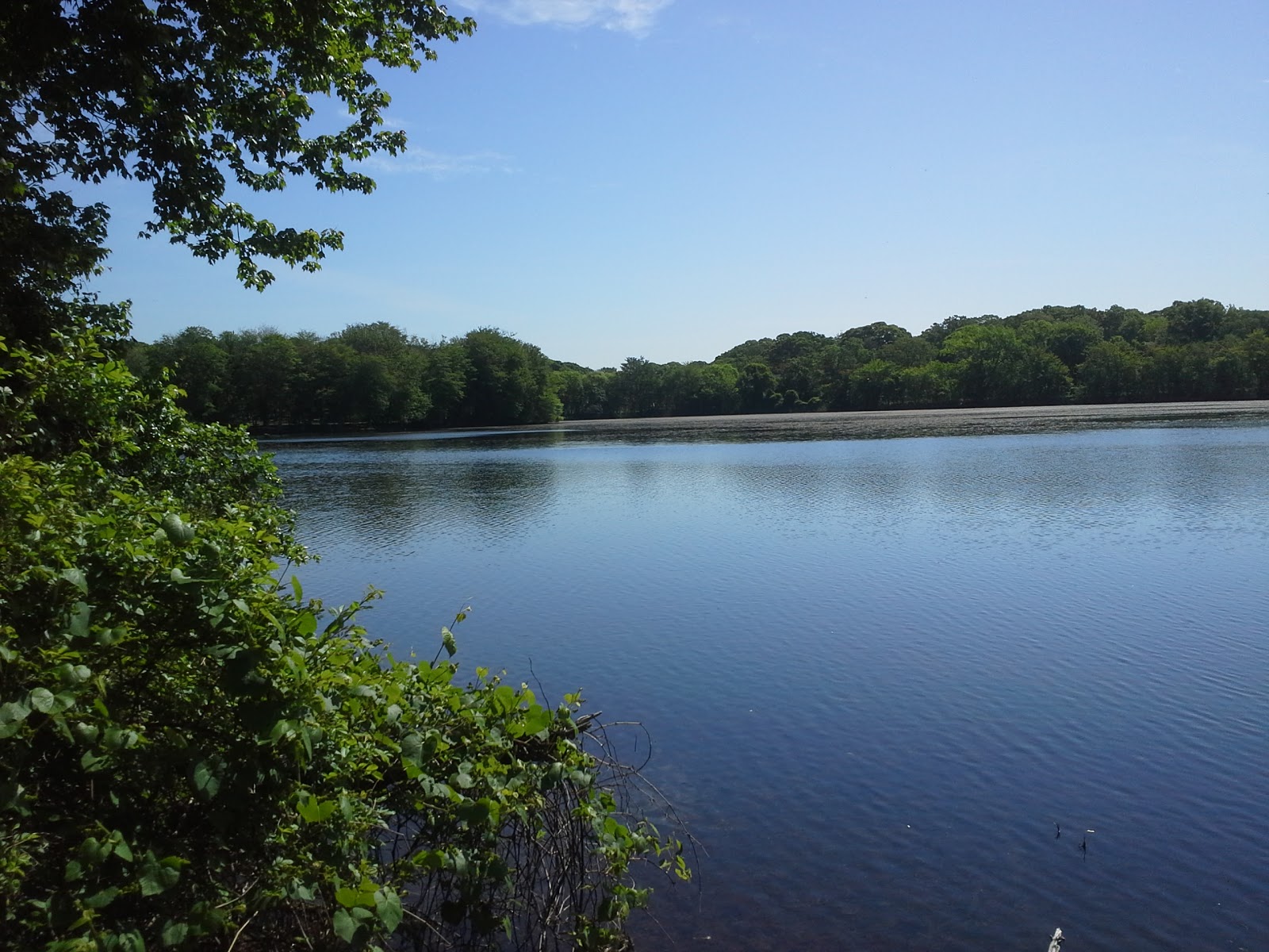 Photo of Hempstead Lake State Park in West Hempstead City, New York, United States - 6 Picture of Point of interest, Establishment, Park