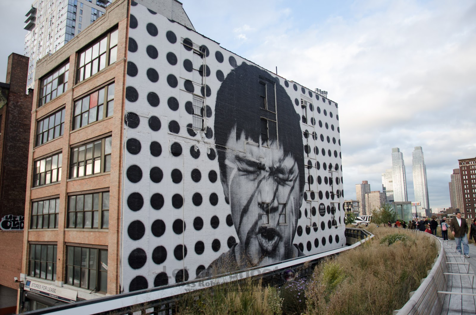 Photo of The High Line in New York City, New York, United States - 3 Picture of Point of interest, Establishment, Park