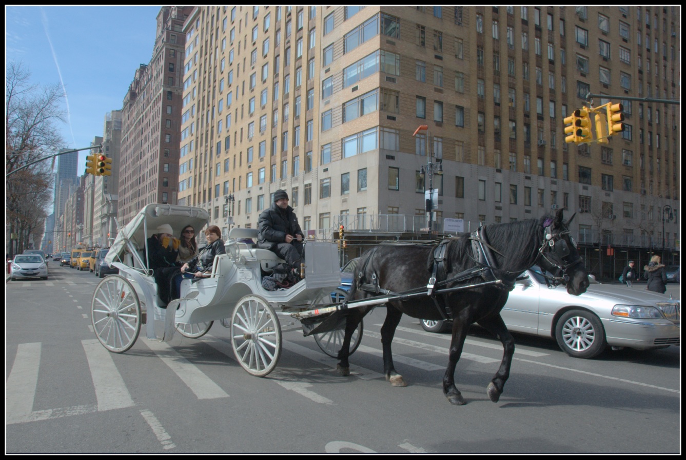 Photo of Majestic Apartments in New York City, New York, United States - 2 Picture of Point of interest, Establishment