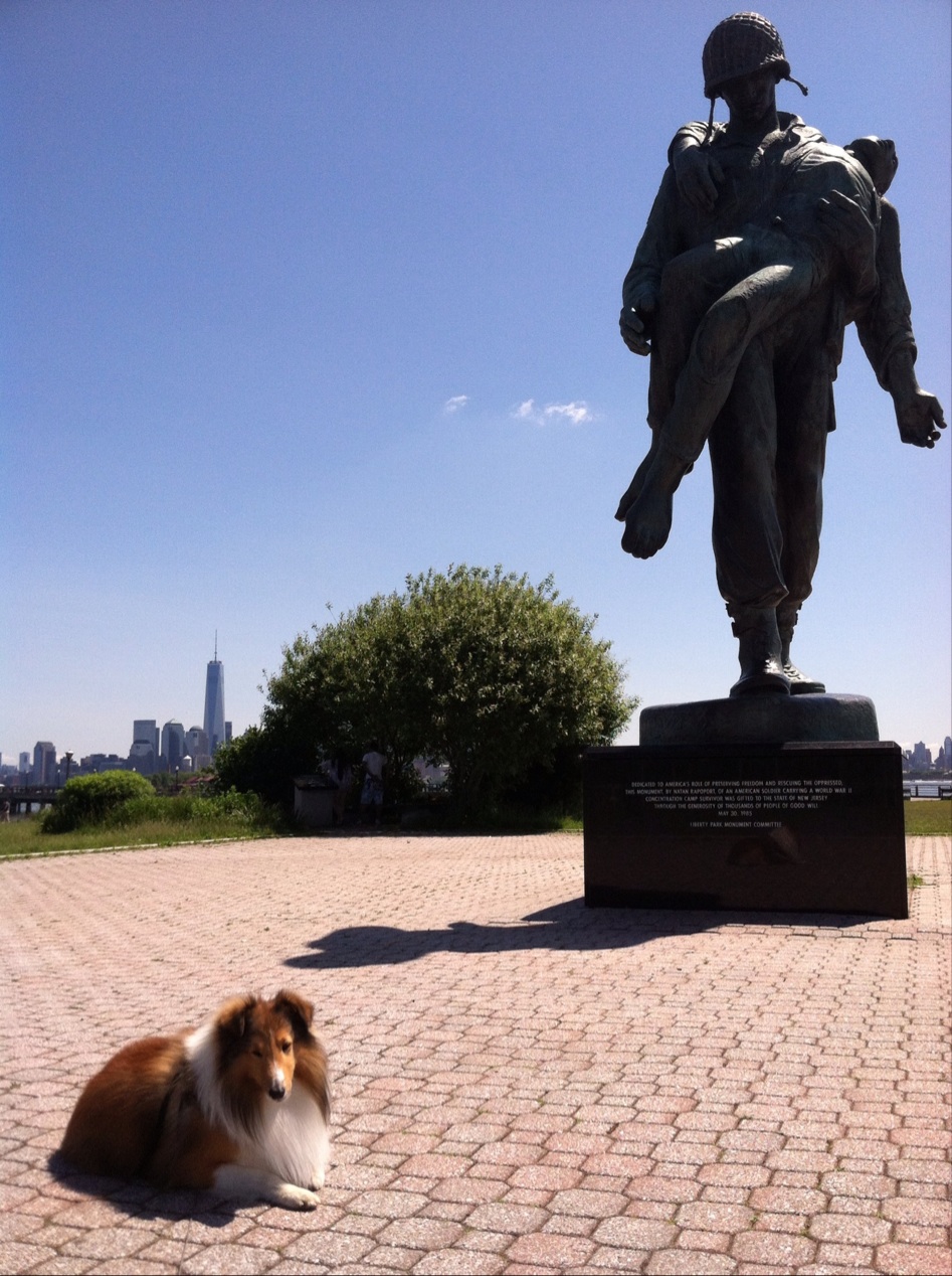 Photo of Flag Plaza in Jersey City, New Jersey, United States - 7 Picture of Point of interest, Establishment, Park