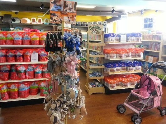 Photo of NY Puppy Club (Edgewater, NJ) in Edgewater City, New Jersey, United States - 1 Picture of Point of interest, Establishment, Store